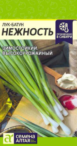 Лук Нежность батун купить