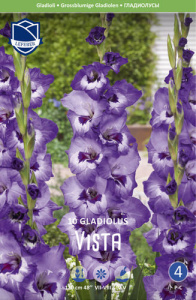 Гладиолус XXL Vista 14/16 /10шт купить
