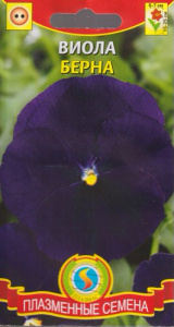 Виола Берна  купить