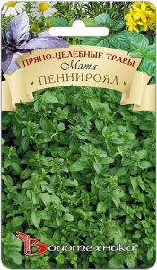 Мята Пеннироял  купить