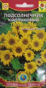 Подсолнечник карликовый Тополино  купить