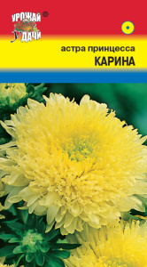 Астра принцесса Карина купить