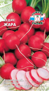 Редис Жара  купить