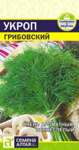 Укроп Грибовский  купить