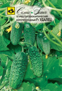 Огурец Удалец F1 купить
