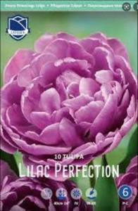 Тюльпан пионовидный "Lilac Perfection" (1х10шт) купить