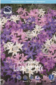 Хионодокса luciliae mix (1х25шт) купить