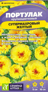 Портулак Супермахровый Желтый купить