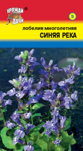 Лобелия Синяя Река  купить