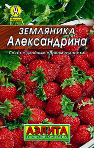 Земляника Александрина  купить