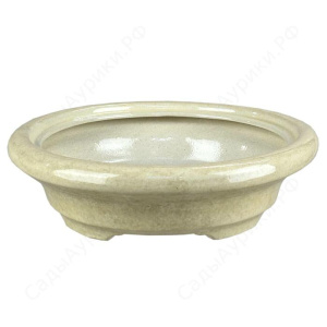 Горшок бонсай №5 беж.  2.7л купить