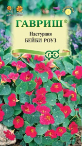 Настурция Бейби роуз купить