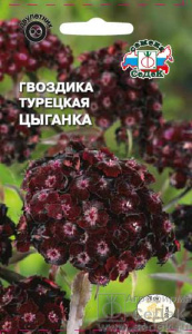 Гвоздика Цыганка турецкая купить