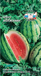 Арбуз Волжанин  купить