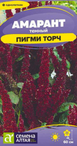 Амарант темный Пигми Торч купить