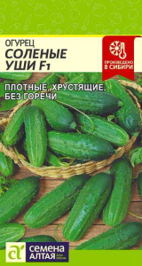 Огурец Соленые Уши F1 купить