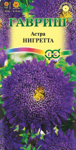 Астра принцесса Нигретта темно-фиолет. купить