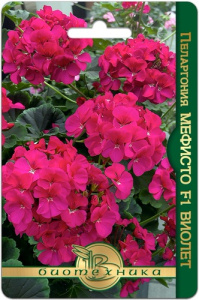 Пеларгония садовая Мефисто F1 Виолет  купить