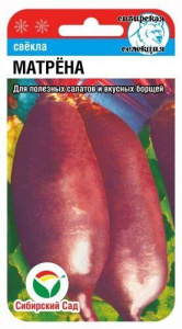 Свекла Матрена  купить