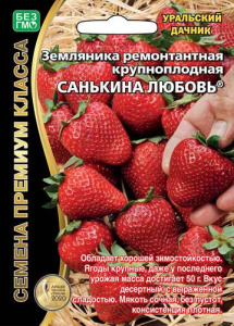 Земляника Санькина любовь  ремонтантная купить