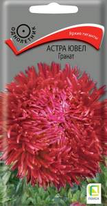 Астра ювел Гранат купить