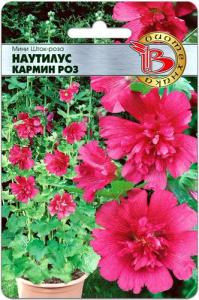 Мини Шток-Роза Наутилус Кармин Роз  купить