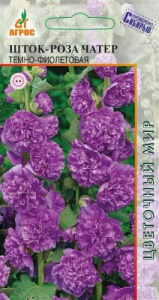 Шток-роза Чатер Темно-Фиолетовая  купить