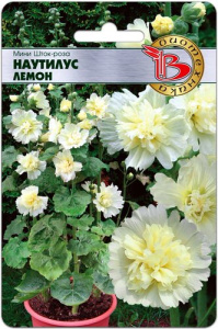 Мини Шток-Роза Наутилус Лемон  купить