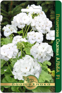 Пеларгония садовая Альба F1  купить