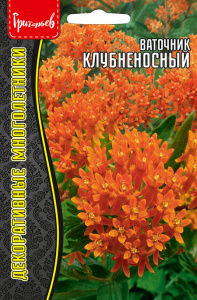 Ваточник Клубненосный  купить