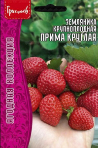 Земляника Прима Круглая крупноплодная 20шт  купить