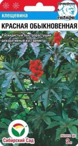 Клещевина красная  купить