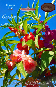 Бальзамин Розовые грезы, смесь/1шт купить