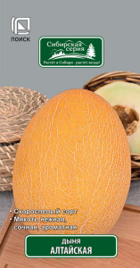 Дыня Алтайская купить