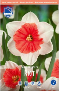Нарцисс крупнокорончатый "Riot" (1х5шт) купить