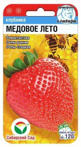 Клубника Медовое лето  купить