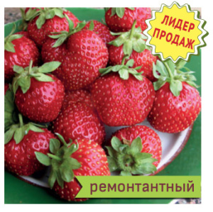 Земляника Елизавета 2 ремонт. раннеспел. купить