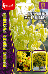 Кельрейтерия Метельчатая купить