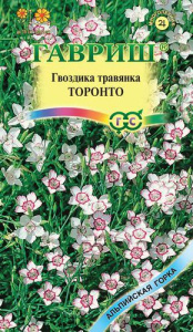 Гвоздика травянка Торонто  купить