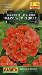 Пеларгония зональная Рафаэлла F1 оранжевая купить