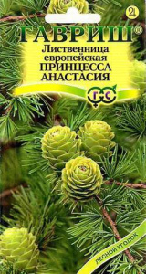 Лиственница Европейская Анастасия  купить