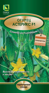 Огурец Астерикс F1 купить