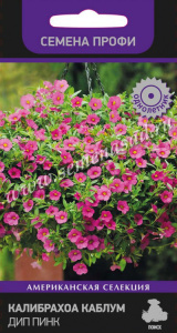 Калибрахоа Каблум Дип Пинк купить