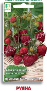 Земляника Руяна ремонтантная купить