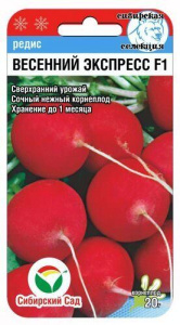 Редис Весенний экспресс F1 купить
