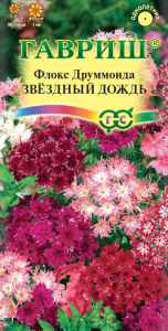 Флокс Звездный дождь Друммонда купить