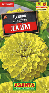 Цинния Лайм  купить