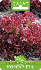 Салат Корсар Ред  купить