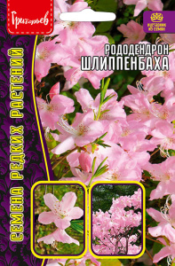 Рододендрон Шлиппенбаха купить