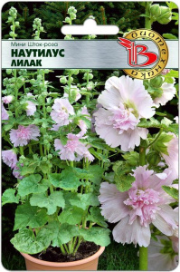 Шток-Роза мини Наутилус Лилак купить